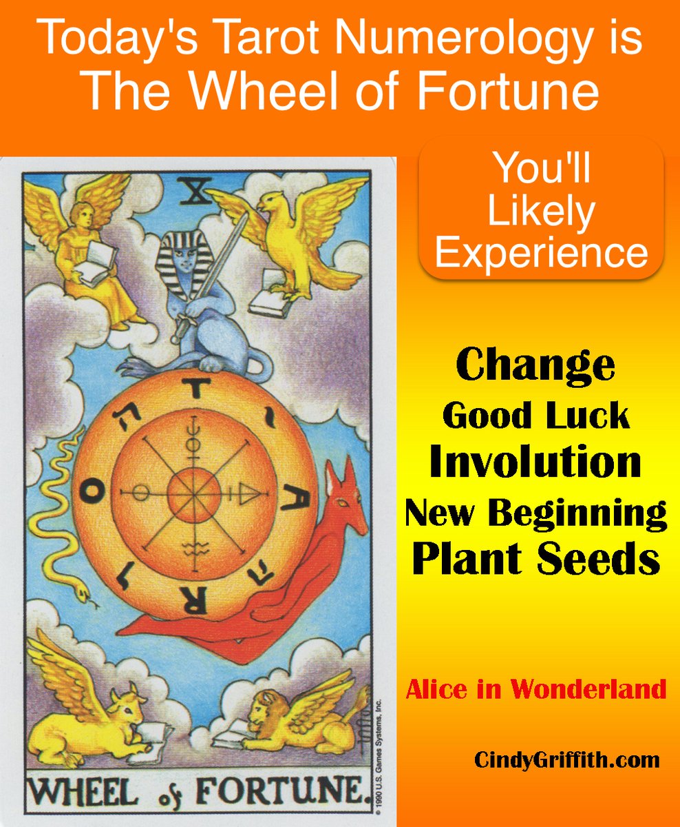 TarotHeals's tweet photo. 2+19+2023 = 10
The Wheel of Fortune: Yay! Have an amazing day filled with good luck and new beginnings. 
#Tarot #Numerology #WheelofFortune #Changeisokay #embracechange #causeandeffect https://t.co/pCkLaPHQIy