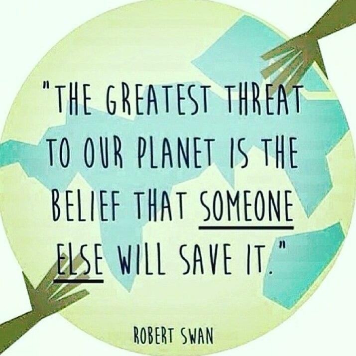 The Millennial Environmentalists tweet media