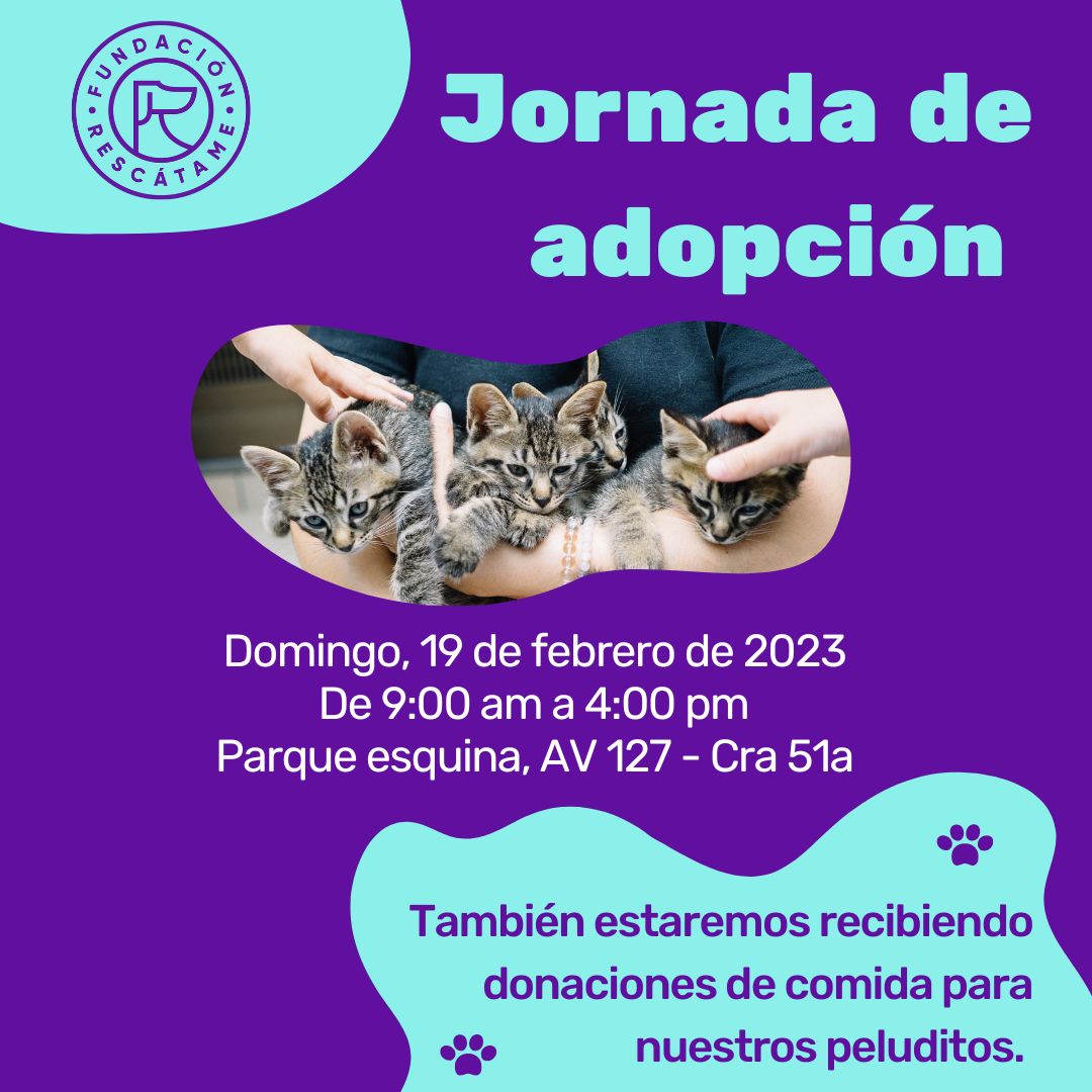 Jornada de adopción de animales en Bogotá este domingo 19 de febrero