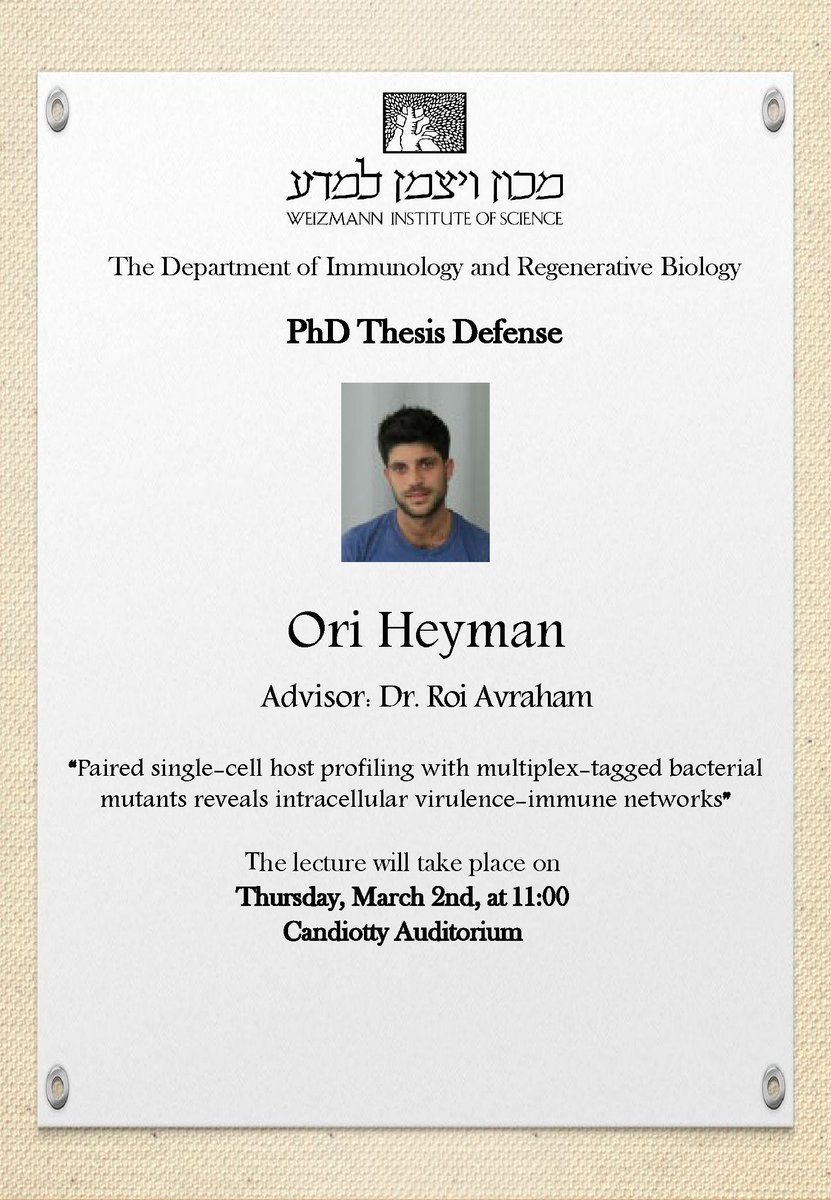 IRB_Department's tweet image. Ori Heyman (Avraham lab @LabAvraham) will present his PhD Thesis Defense. Join us on Thursday, March 2nd at 11:00, Candiotty Auditorium.