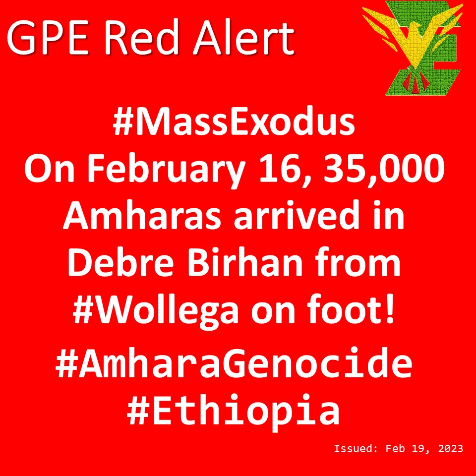 [1] #GPE_RedAlert
On February 16, 35,000 Amharas arrived in Debre Birhan from #Wollega on foot!

Mass exodus is a powerful indicator of mass targeting, genocide and systematic  crimes against humanity. Ignoring a genocide is happening all over again!
#AmharaGenocide #Ethiopia