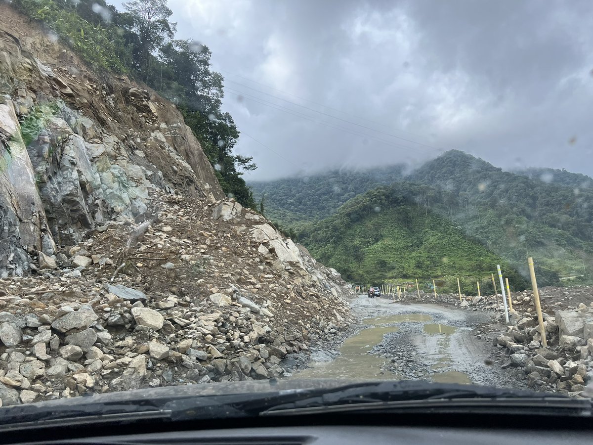 Maria Isabel Castaño tweet media