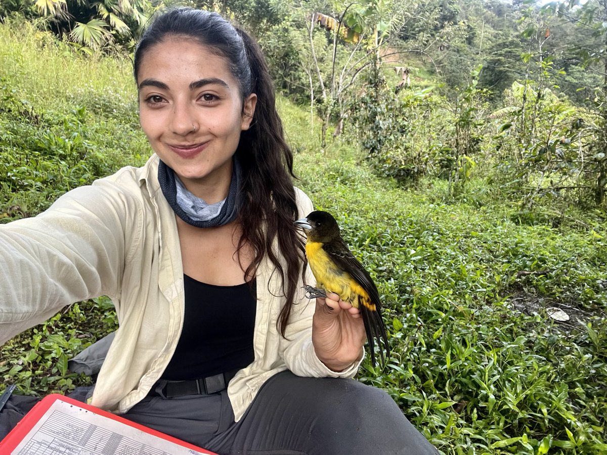 Maria Isabel Castaño tweet media