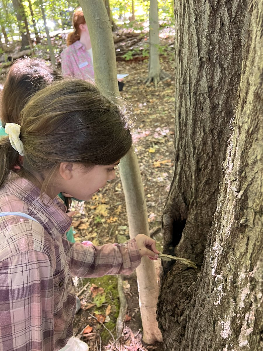 Ms.Loehle tweet media