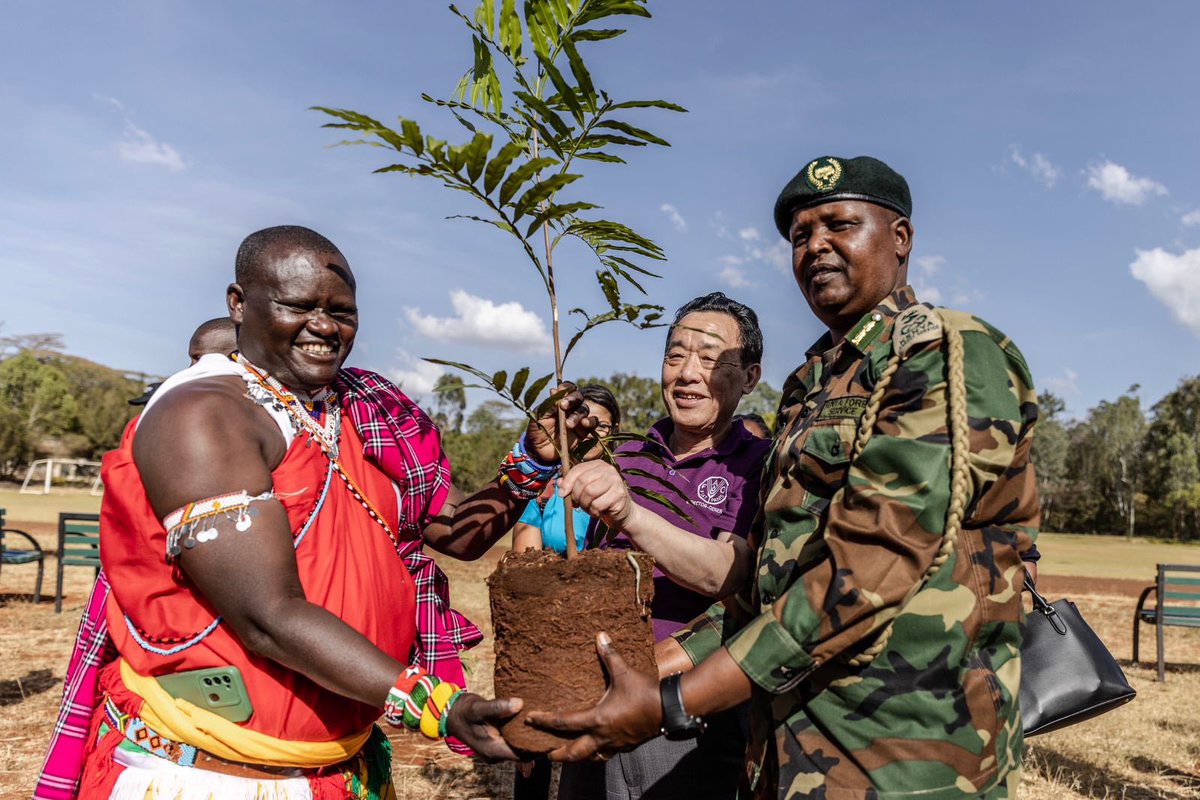 FAO in Kenya tweet media