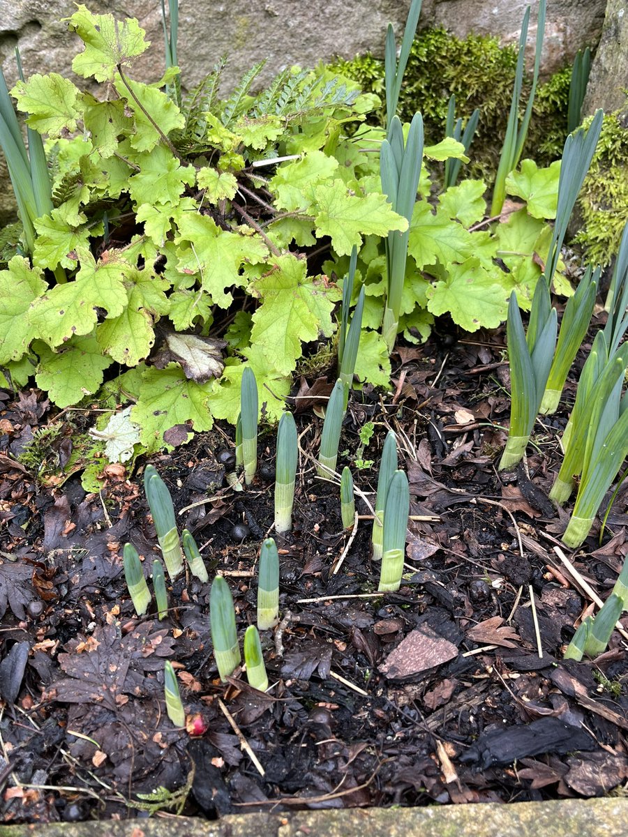 Shirley Rogers CBE 💙🧡 tweet media