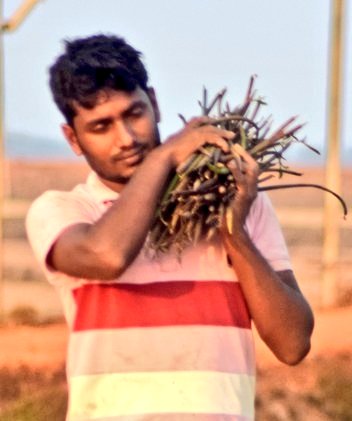 This afternoon #Mangrove Seed collection amongst #DeviRiverMouth Mangroves.🌱 We welcome every individual/group for joining us in this mission together in ground action. #CoastalResilience #ClimateResilience #Mangroves #YouthForMangroves #Odisha #MangrovesForFuture #climatechange