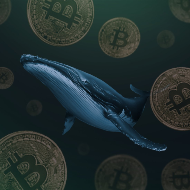 WhaleWorldCeo's tweet photo. There will be an #NEO #pump tonight at 22:45 GMT!

Do you want to know where the pump will be and how to make money from it? Join us on social media and check out our main discord channel!

#Blockchain #CryptocurrencyNews #NFT #cryptocurrency #altcoin #cryptoworld
#Bitcoin #ETH https://t.co/ucImN8z3nE