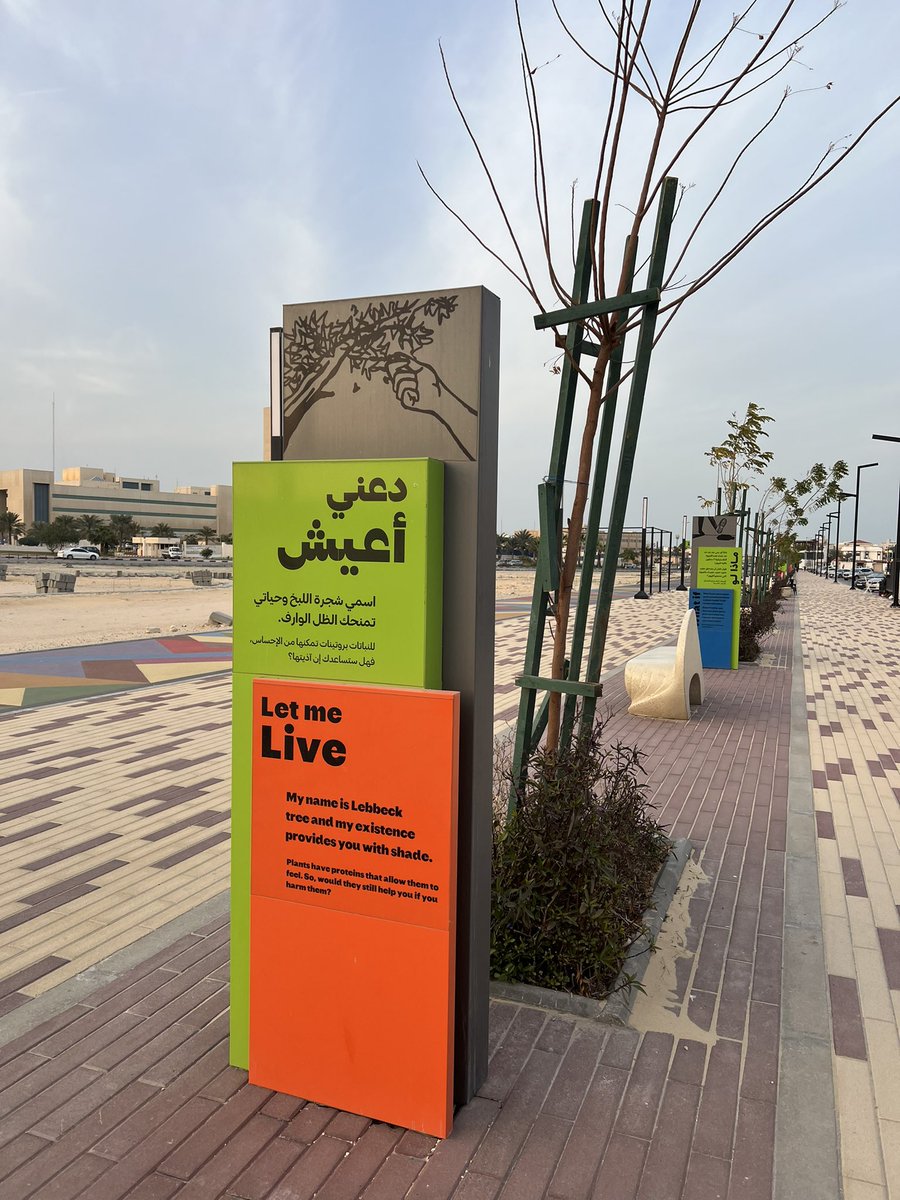 alsayel's tweet image. (ممشى البهجة بالدمام)
تفعيل الفراغ العام من فراغ صامت الى فراغ تفاعلي إثرائي مع مختلف المستخدمين.
مما يميزه أيضا:
- ألعاب مبتكرة للأطفال.
- لافتات إثرائية.
-القرب من الانشطة التجارية.
-وصولية مع الأحياء المجاورة 
-عربات بيع القهوة والشاي.
- توفر أماكن الجلوس.

#مدن_للناس