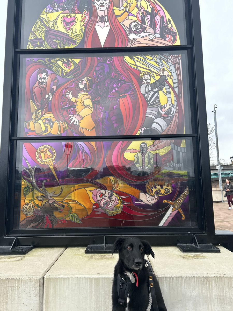 cmshevlin's tweet photo. Rudy sightseeing in Belfast. Pee-d everywhere, poo-ed in front of Laganside Courts (no respect for law) so I think he enjoyed himself… https://t.co/4GHLC2uZPN