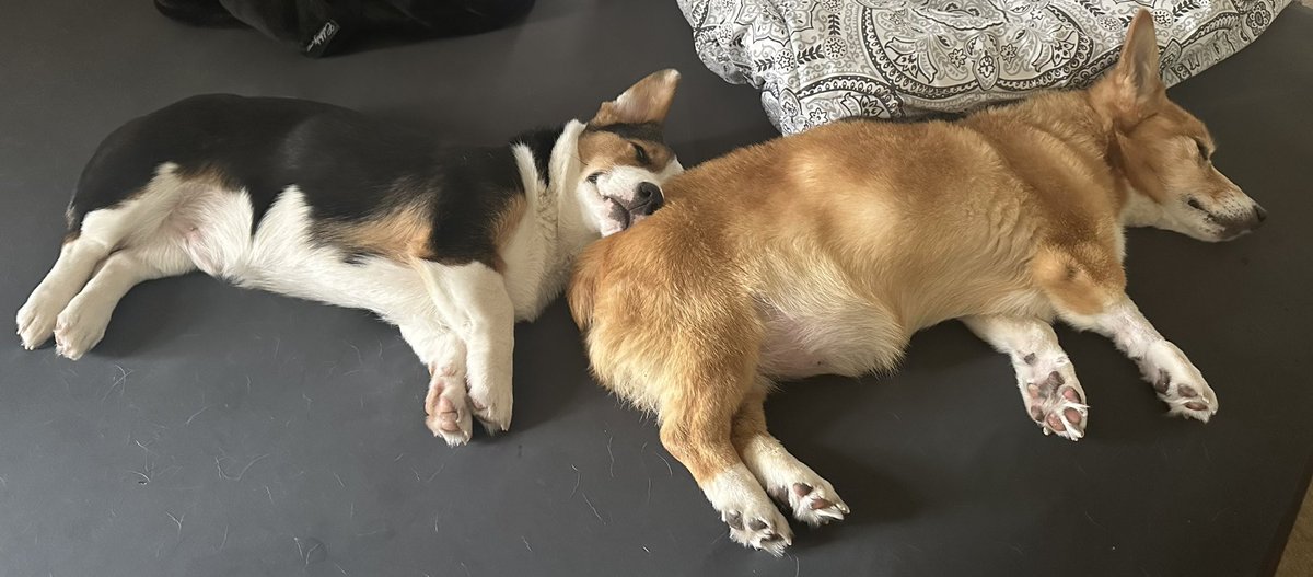 George Conway ⚖️🇺🇸 tweet media