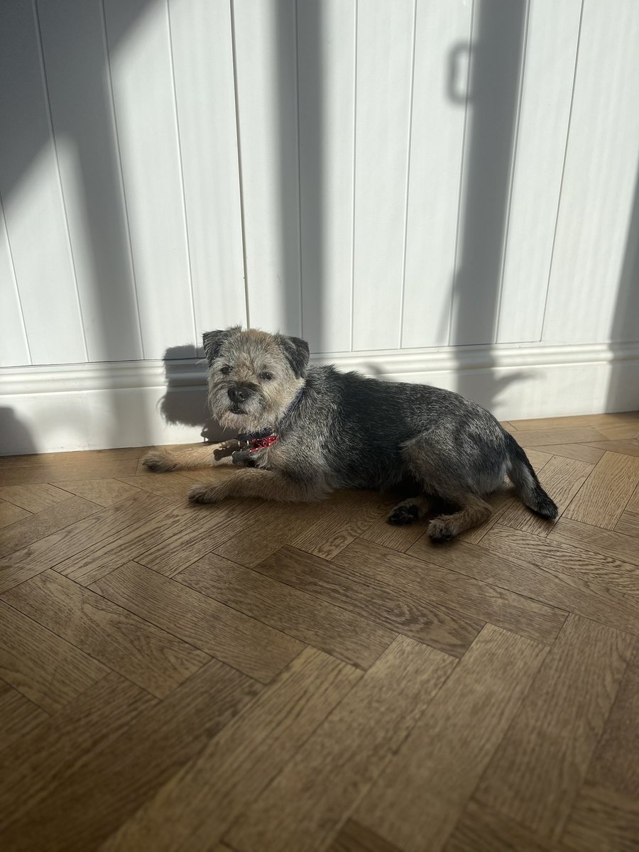 Border Force tweet media