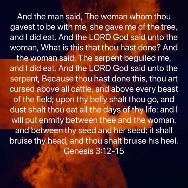 Frau HXM On Twitter So God Created Man In His Own Image In The Image frau-hxm-on-twitter-so-god-created-man-in-his-own-image-in-the-image