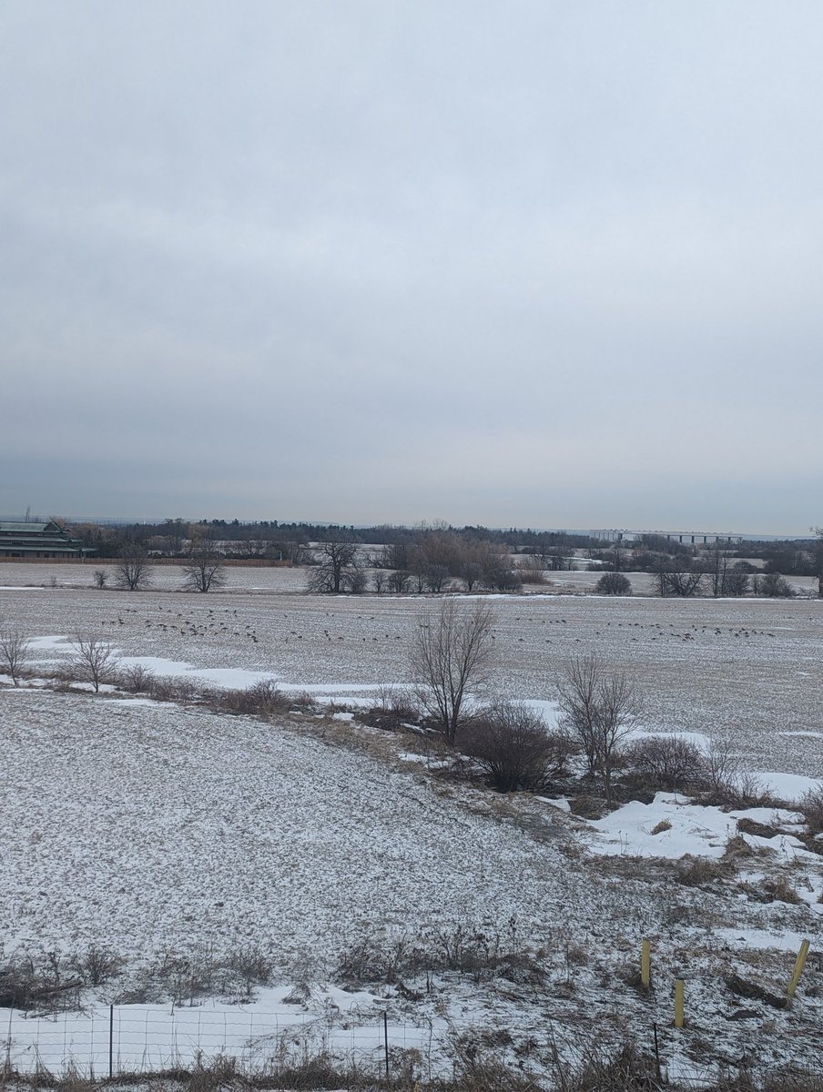 Very windy 16 km, can't feel my face 😜 This moment makes me even more proud of what I can do mentally and physically. Happy Sunday and Enjoy Your Run #fitfam 😘
#runner #runners #running #fitness #FitnessGoals #FitnessMotivation #fitnesslifestyle