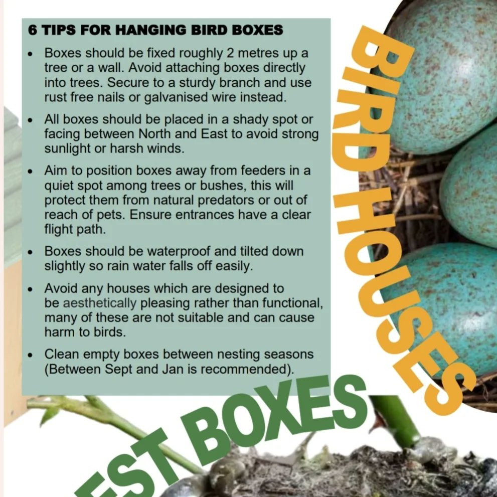 brentlodge's tweet image. The NEST-essities During UK’s nesting season

🫶 It's #NationalNestBoxWeek!

🐦The UK is approaching the nesting season, which is the period when #ukbirds and other animals tend to nest. Here are a few tips about #nestingboxes.

Check our blog 👇👇👇👇 brentlodge.org/news