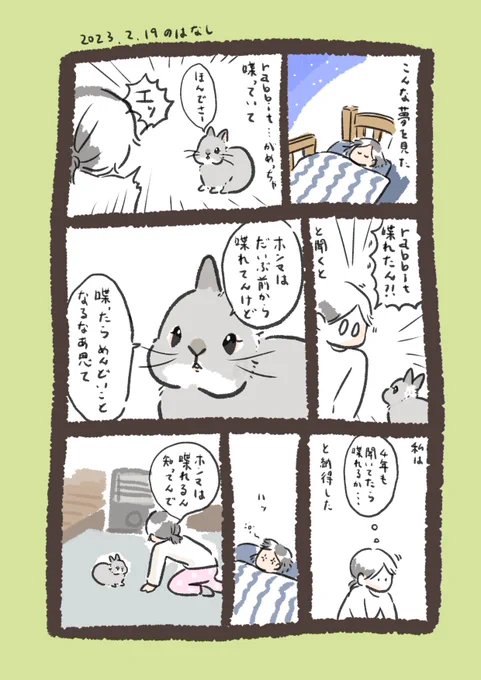 イカツめの関西弁でした

#うさぎのいる生活 