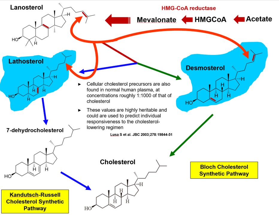 Thomas Dayspring tweet media