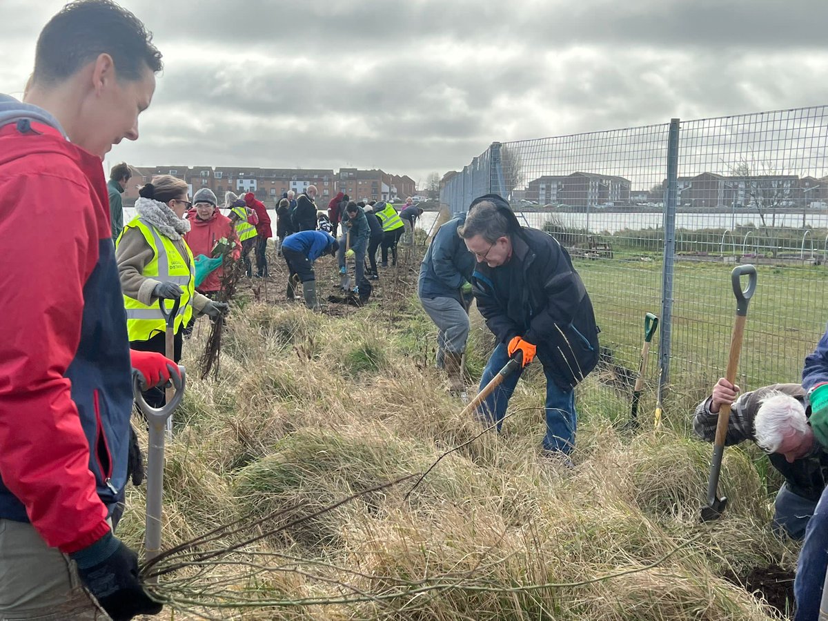 portsmouthtree's tweet photo. Our planting of a fruiting hedge, oak and hazel trees at Milton Locks Nature Reserve on 18 February went very well.  Supported by the Lord Mayor and Lady Mayoress of Portsmouth, the Leader of PCC, Cllr for Climate Change Portsmouth, Hantsiwwildlife Trust &amp; some 80 friends family. https://t.co/p9D1pfdtvO