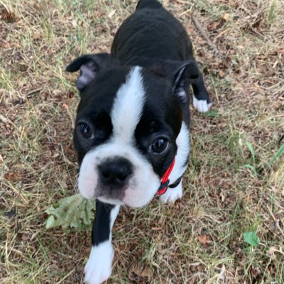 BostonOdel's tweet photo. #NewProfilePic https://t.co/C3ukfwmXNO