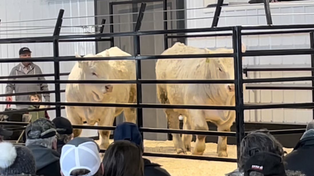 Steppler Andre tweet media