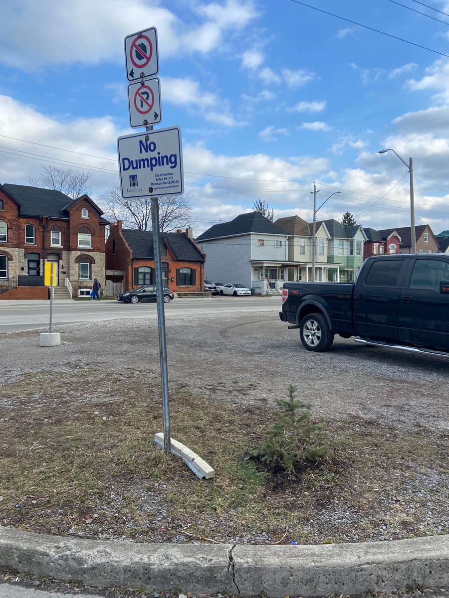 Rogue gardening; looks like someone planted their Christmas tree next to the no dumping/no stopping/no parking sign. #OurWard3