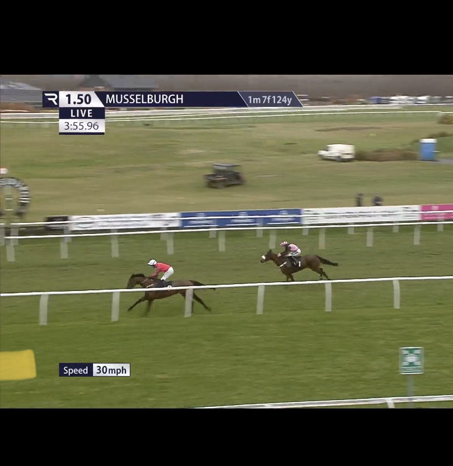 DPODbloodstock's tweet photo. Well done to @adams_gg_bets2 and @ColtherdRacing on #MIDNIGHTSHUFFLE winning at @MusselburghRace and picking up @GB_Bonus prize money bought privately by @DPODbloodstock from Blackwall stud @AndyPie9948 please get in contact for more winners https://t.co/3PqQllTPO7