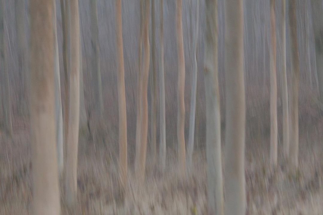 What do you highly recommend to most people you meet? ❤️

Mountains are the beginning and the end of all natural scenery! 🌟

#NFT #nftphotography

Artist:
 📸alexandre_deschaumes👇