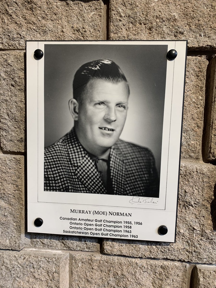 In Kitchener, came across this beauty. Only the biggest snipe of all time!