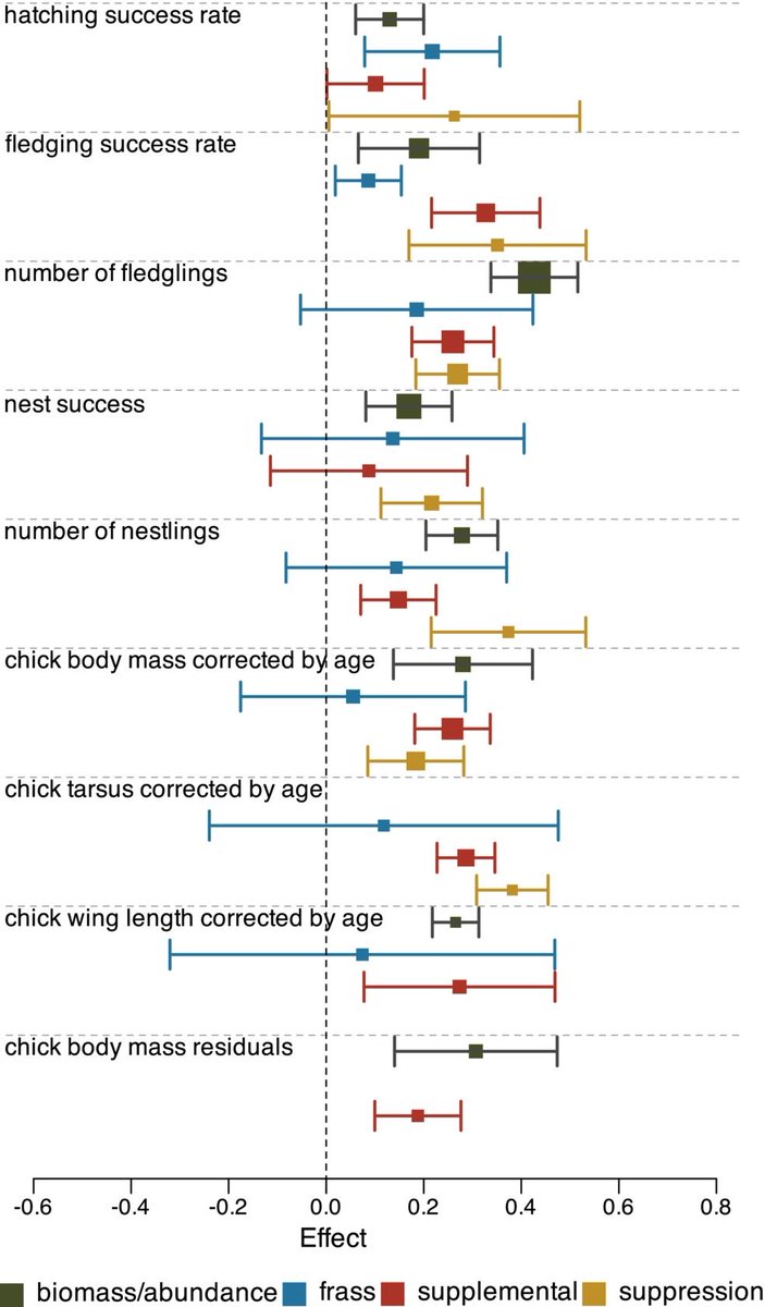 Insect decline can be expected to lead to songbird decline. Ecological research sometimes states the obvious, but this one's important, in the face of potentially large insect declines: the amount of available insect food limits songbird breeding success. onlinelibrary.wiley.com/doi/full/10.11…