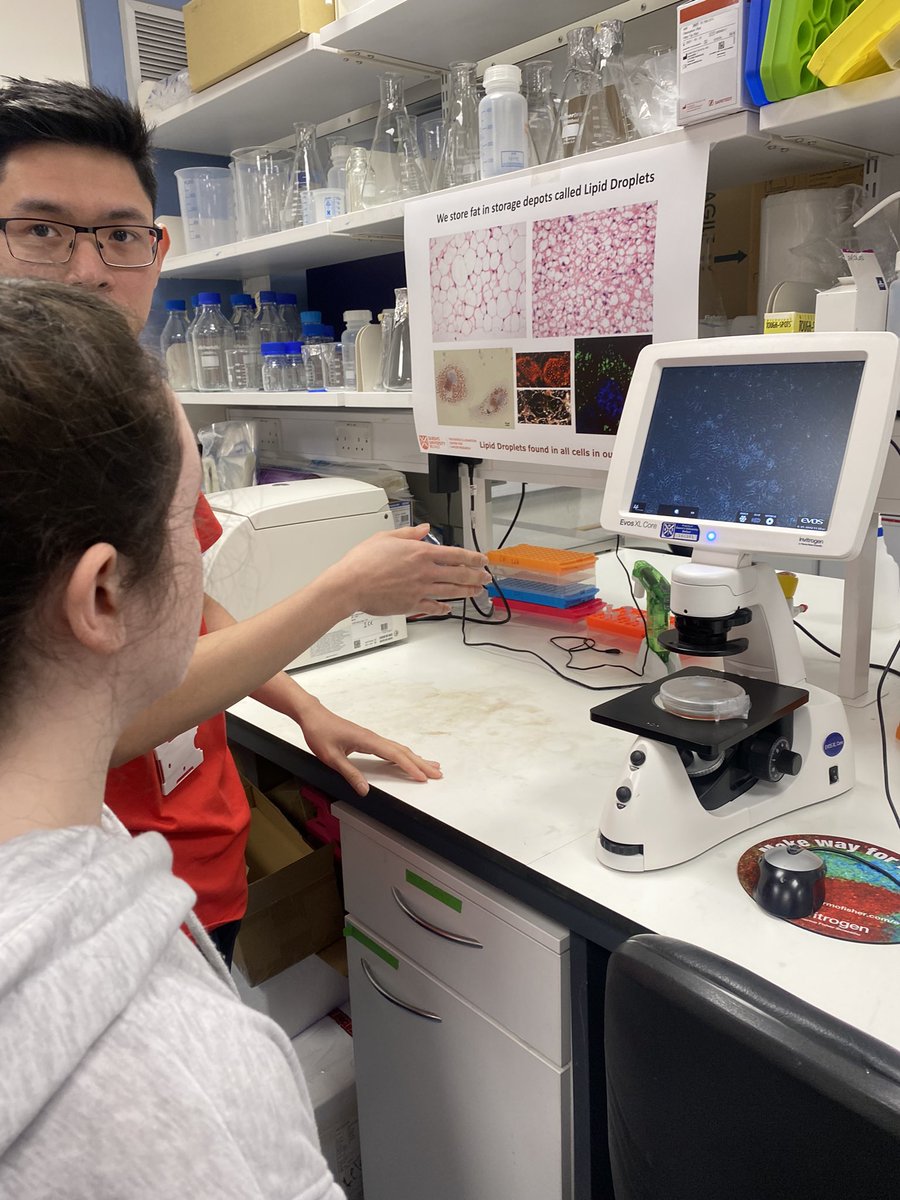 Road trip yesterday to visit the Patrick G Johnston Centre for  Cancer Research at <a href="/QUBelfast/">Queen's University Belfast 🎓</a> 

Really good to see what how our fundraising is helping to fund vital research and clinical trials right here on our doorstep.
#cruk
#queensuniversitybelfast