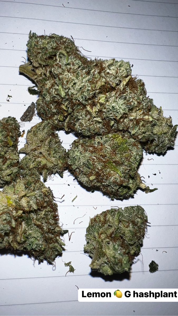 SMcpot508's tweet photo. Lemon 🍋 G hashplant #RapperWeed #Mmemberville https://t.co/t1MMHJAQKW