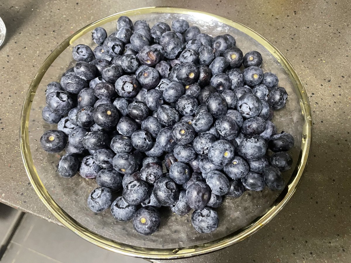 Thin94981's tweet photo. Good night with Blueberries 🥰 https://t.co/vIziowwZBi