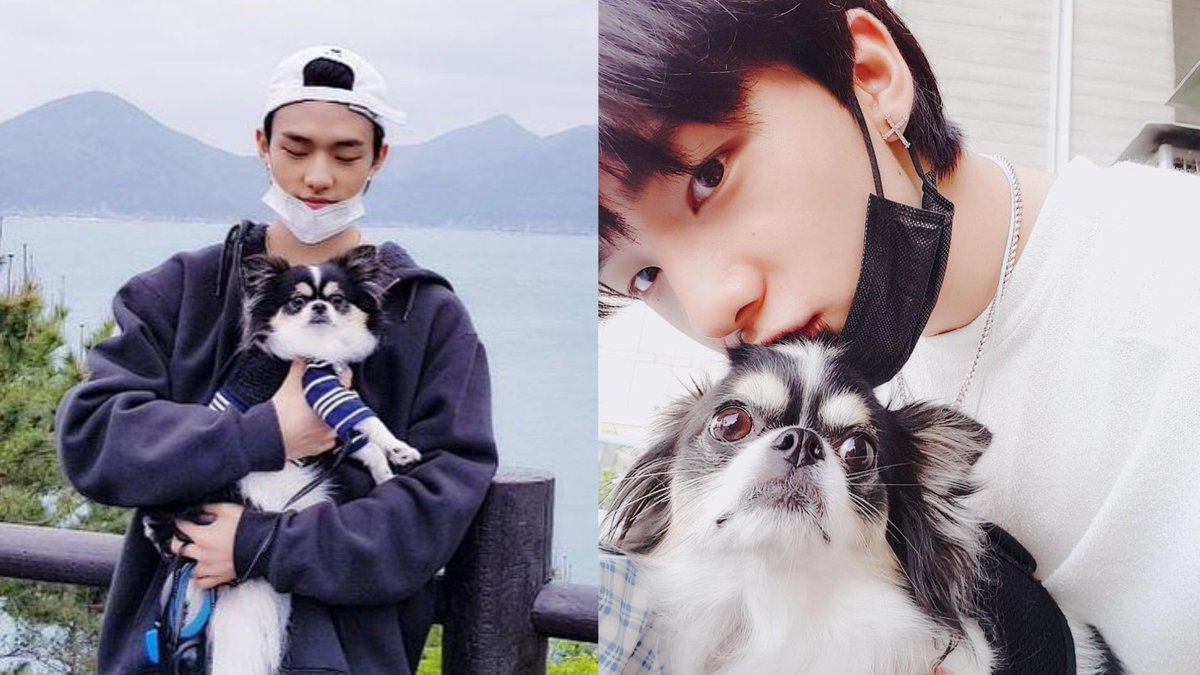 hyunjinpost's tweet photo. happy kkami day ❤️ https://t.co/QpHwhygorF