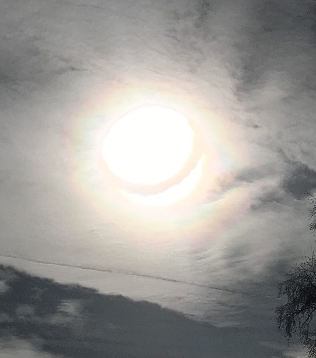 positiv07652695's tweet photo. Hope everyone has felt warmth from the #sun today, whether it be literal or metaphorical.
#SpringSunday https://t.co/vnhn2NALCZ