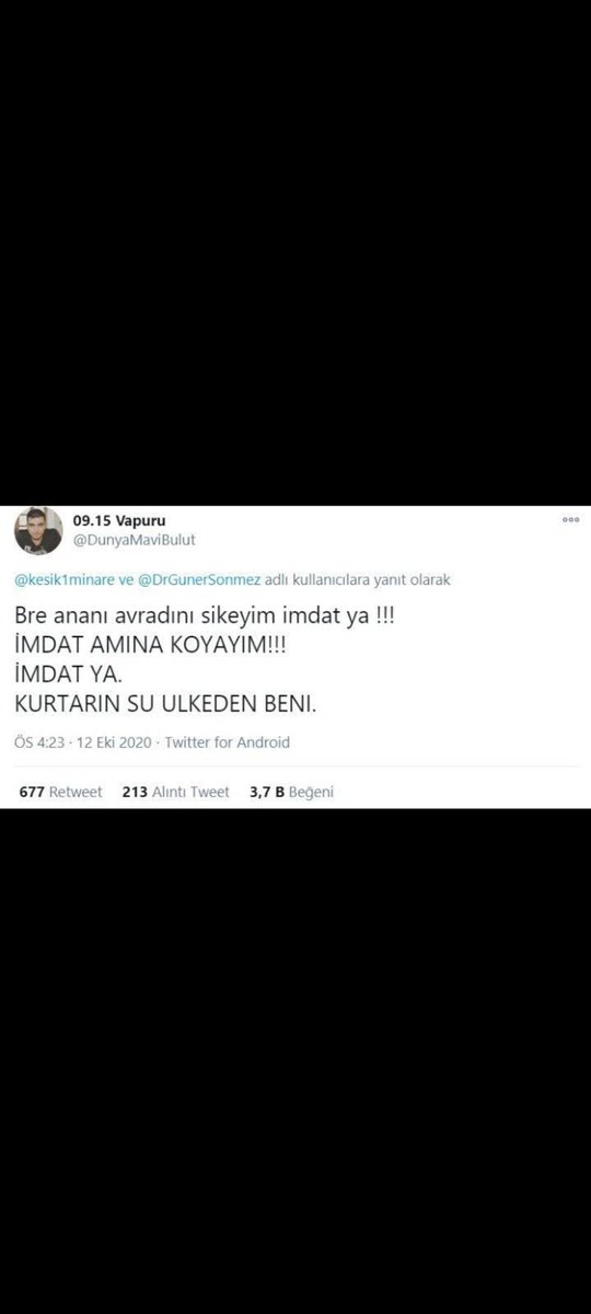 ismail tweet media