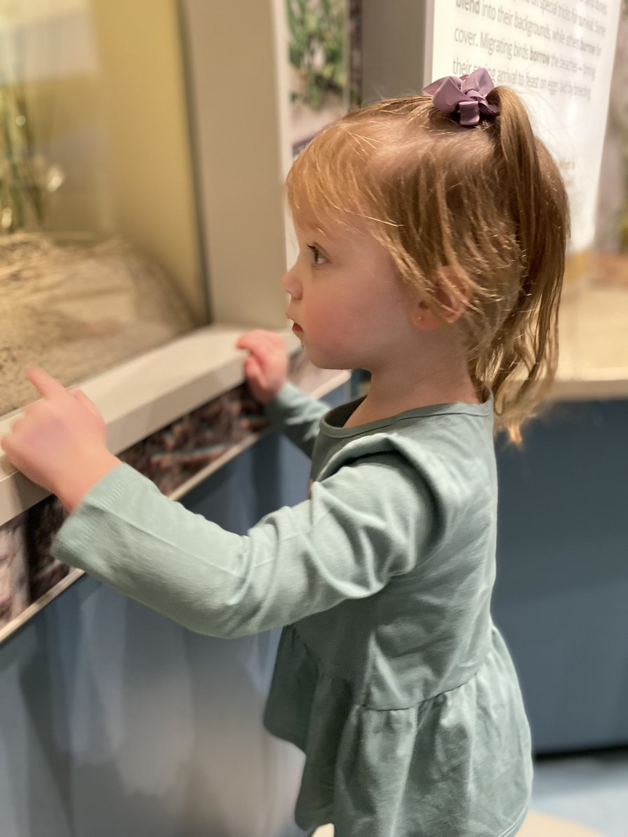 mrjkorb's tweet photo. Love seeing my girl learn and grow through experiences. #mylittleexplorer #mygirl ☺️ https://t.co/OwWnkYdrJt