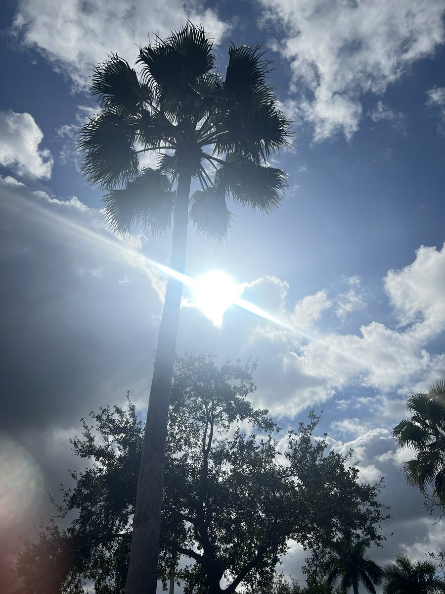 dangambardello's tweet image. “The heavens declare the glory of God, and the sky above proclaims His handiwork.” Psalm 19:1