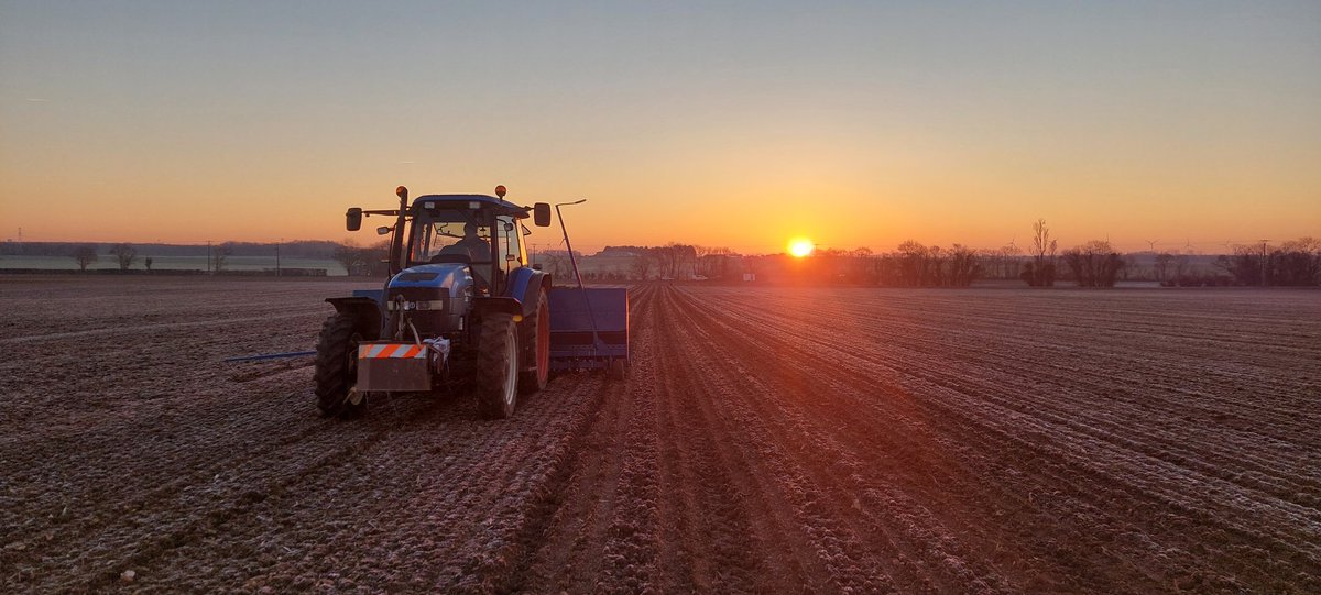 FPetorin's tweet photo. Cette semaine, c'était la plantation des #betterave porte-graines pour la production des  #semences de betteraves sucrières !
L'agriculture est source d' #emplois !!
#agriculture 
#FrAgTw @Fragritwittos @DeleplanqueCie @DamienDegoile @MartinBoinot https://t.co/QsznJu0UcD