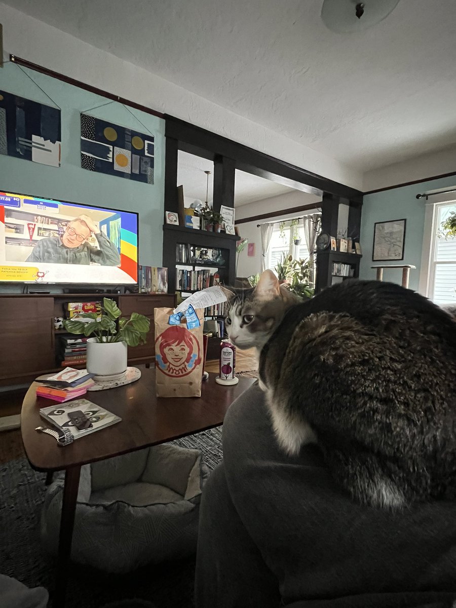 valerie2776's tweet image. #kittytime #p4a2023