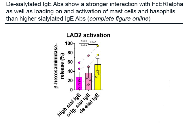 AllergyEaaci's tweet photo. Dühring et al. Sialylation of IgE reduces FcεRIα interaction and mast cell and basophil activation in vitro and increases IgE half-life in vivo

👉https://t.co/mXA8Vbn6k1

Read more articles here👉 https://t.co/mddFodMuCb

#Allergy_journal https://t.co/xNTwz3K025