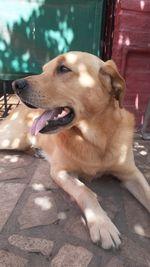 GM! 
Have a good and relaxing Sunday ☀️

#NFTs #NFTartist #NFTCommmunity