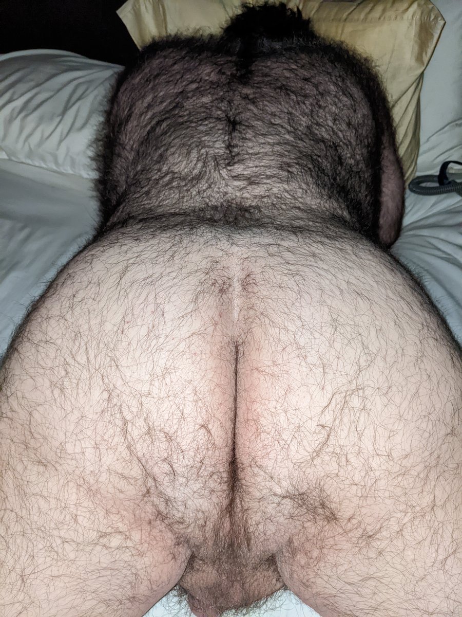 BurtLuster's tweet photo. Anyone like a really hairy bear this morning?? https://t.co/2Vmn6ZKYtj
