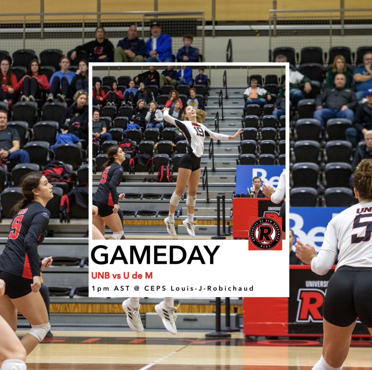 UNB REDS Women's Volleyball tweet media