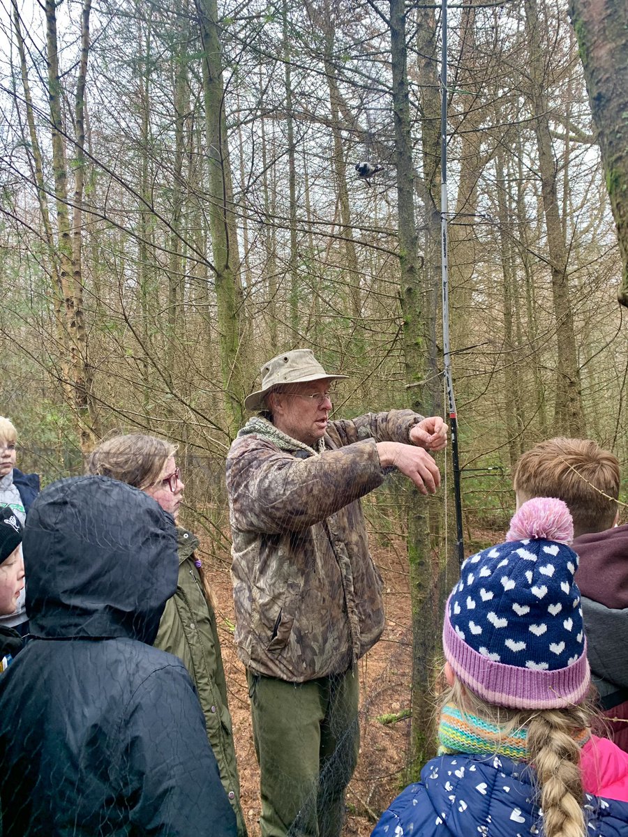 We had a brilliant ringing demo for our WOS young members yesterday! We caught a nice range of species to show everyone and teach them about ringing with the highlights including a Treecreeper and Woodpecker! Thanks to <a href="/mattthesparrow/">matt prior</a> for leading it