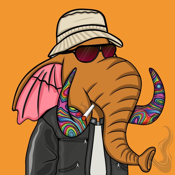 OrangeHerdNFTs's tweet photo. Just claimed my Cypher Phant BTC Ordinal thanks to the @ElephantNFTS team. Appreciate you putting this together and giving us not only an opportunity to collect, but also to support our charity partners! #SaveTheElephants #StampedeSunday #OrangeHerd https://t.co/sFzZ3dUt0r