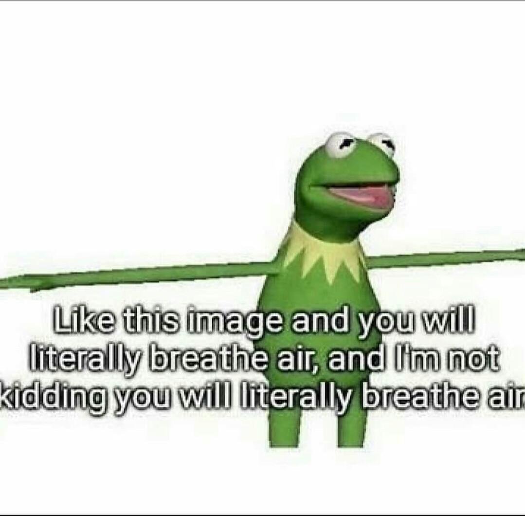 _BasedLifeform_'s tweet photo. https://t.co/izgcx6Zr3d