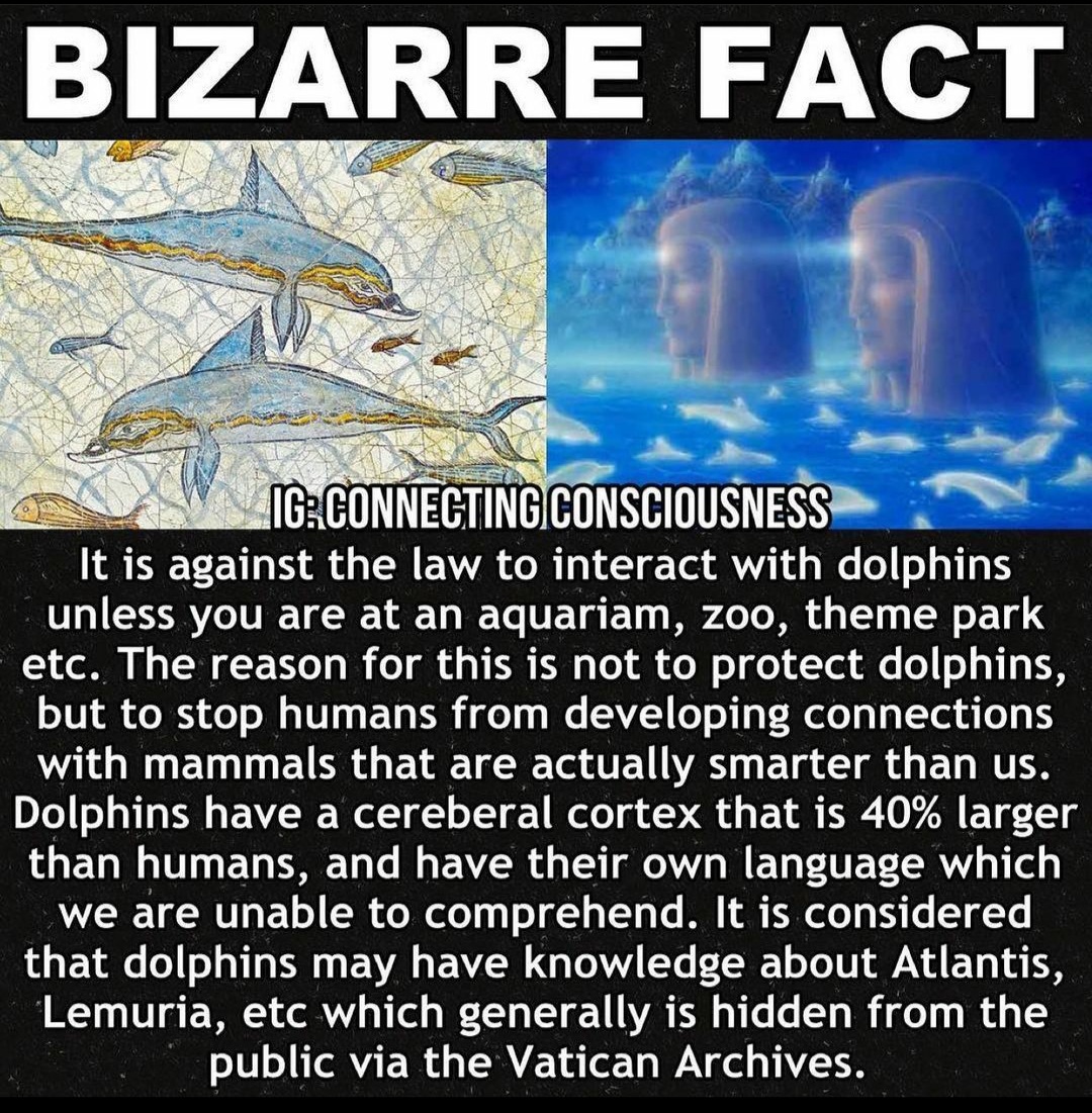 Cheyenne tweet media