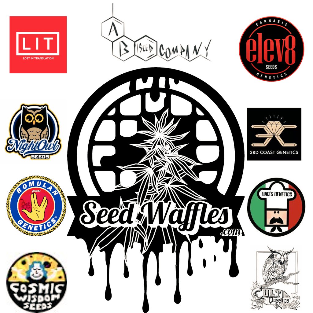 SeedWaffles's tweet photo. https://t.co/PuXaOaJFeq https://t.co/jQEGRyQubX
