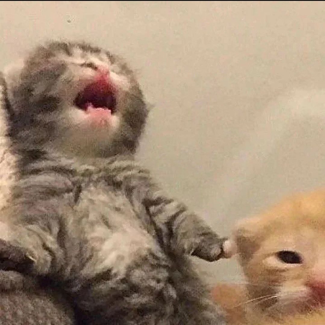 WOAH-OH-OH-AH-AH-AH-AAAA