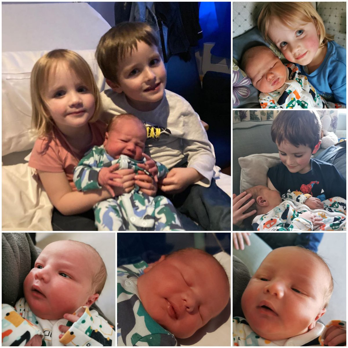 MatthewLoe's tweet photo. Our beautiful rainbow baby boy was born a week ago today to complete our perfect family. Safe to say the rest of the crew are already smitten and being very helpful #oscarjacklouie https://t.co/J0k3BhYrGY